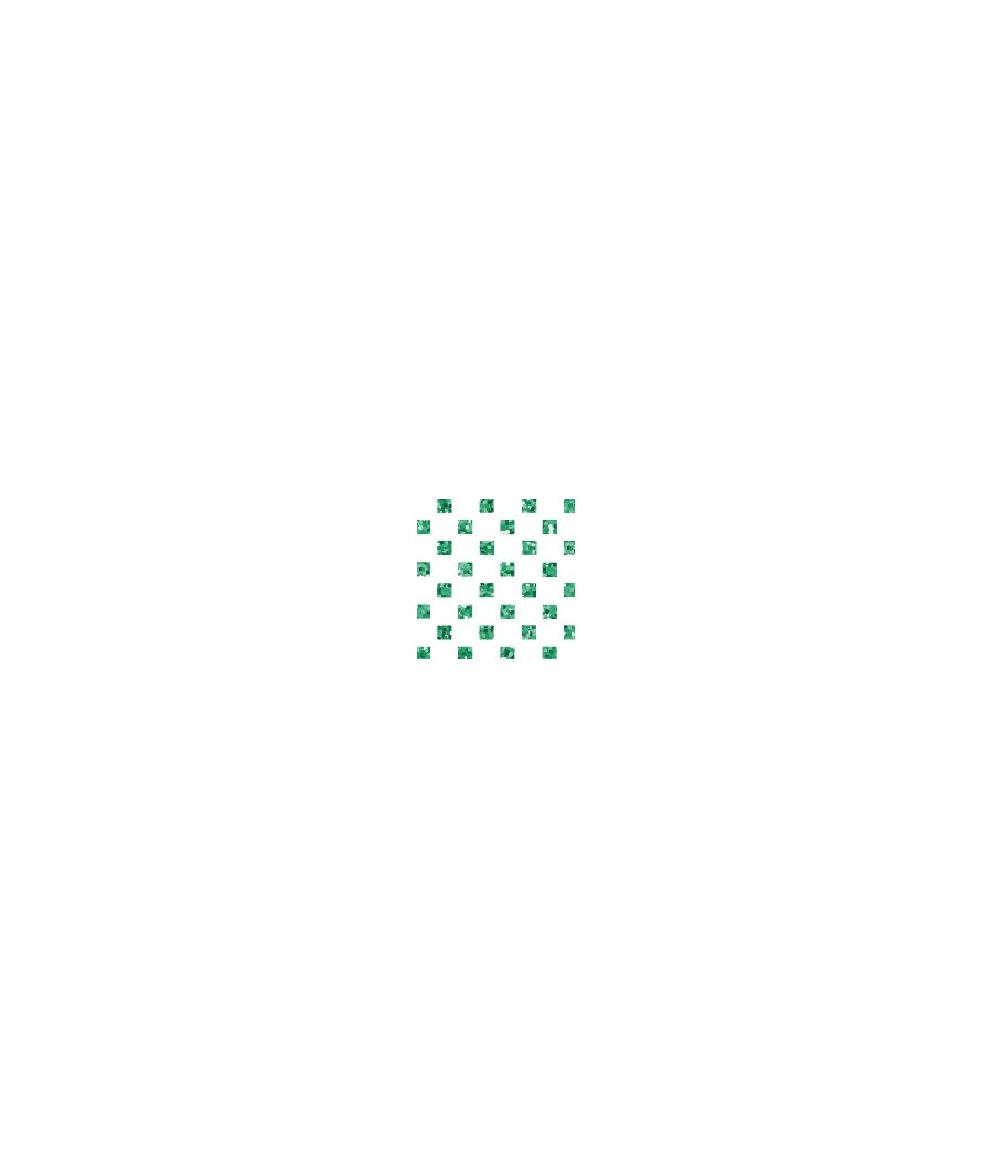 Green checked shirt