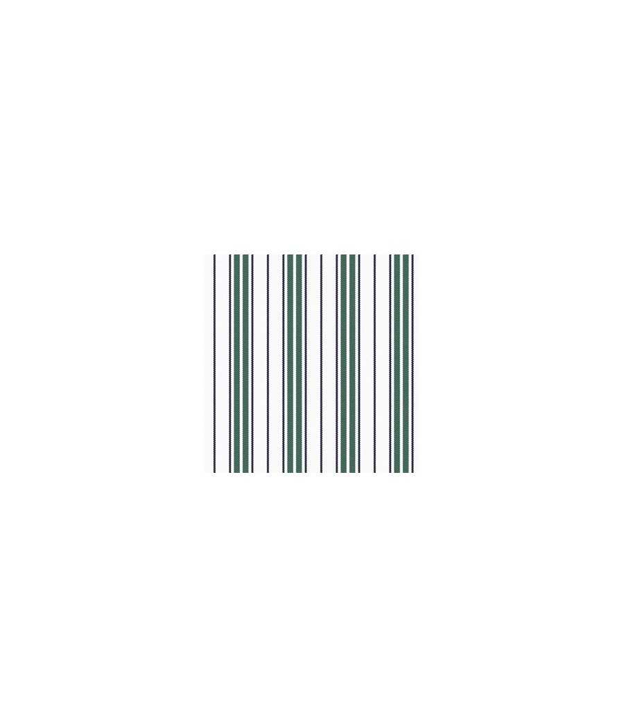 Camicia riga verde
