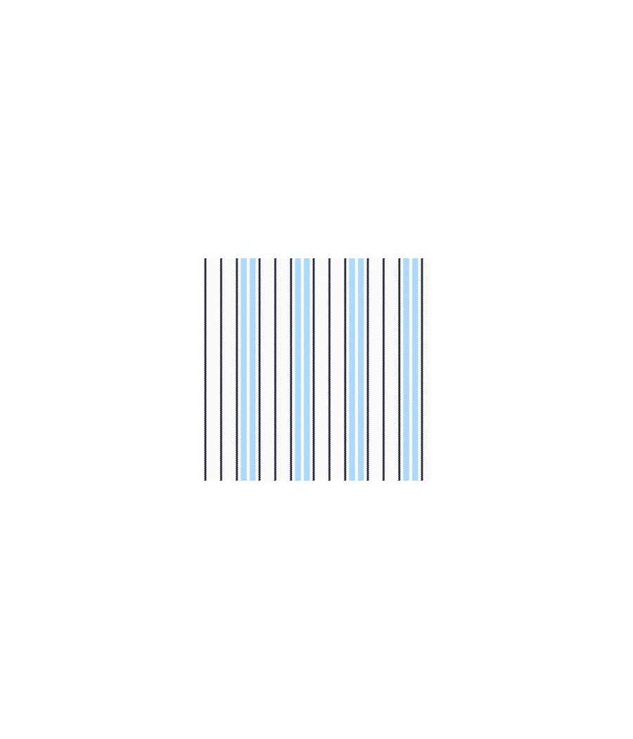Camicia riga azzurra